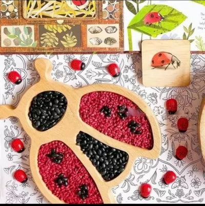 Bandeja de juego sensorial de mariquita de madera - Los mejores juguetes de juego abierto