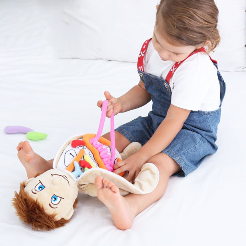 Muñeco de anatomía Montessori - Los mejores juguetes Montessori