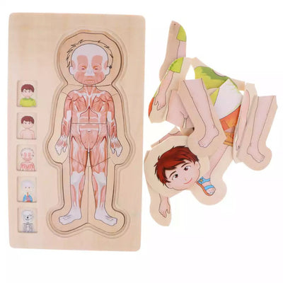 Onshine Puzzle anatomique 3D en bois - Jouets de motricité fine