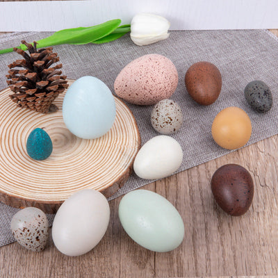 Œufs d'Oiseaux en Bois - Jouets en bois ouverts (sans règles)