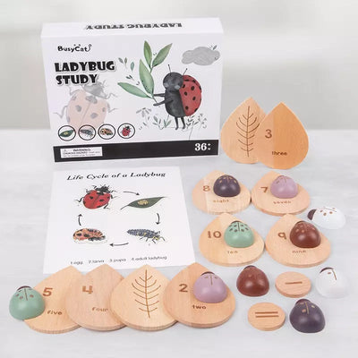 Wooden Ladybug Study - Montessori Wooden Toys