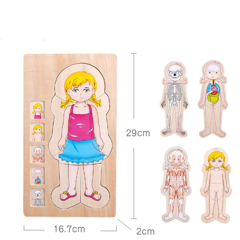 Onshine Puzzle anatomique 3D en bois - Jouets de motricité fine