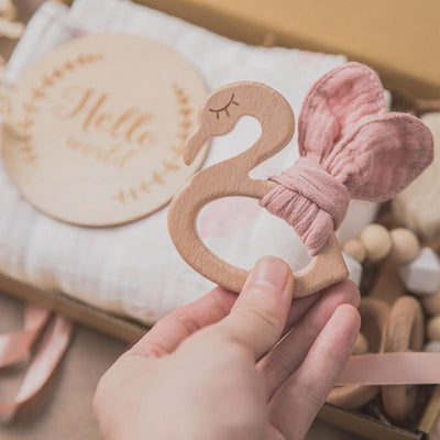 Fidtoy Coffret Cadeau Bébé Cadeau de Naissance Coffret Cadeau de Douche de Bébé